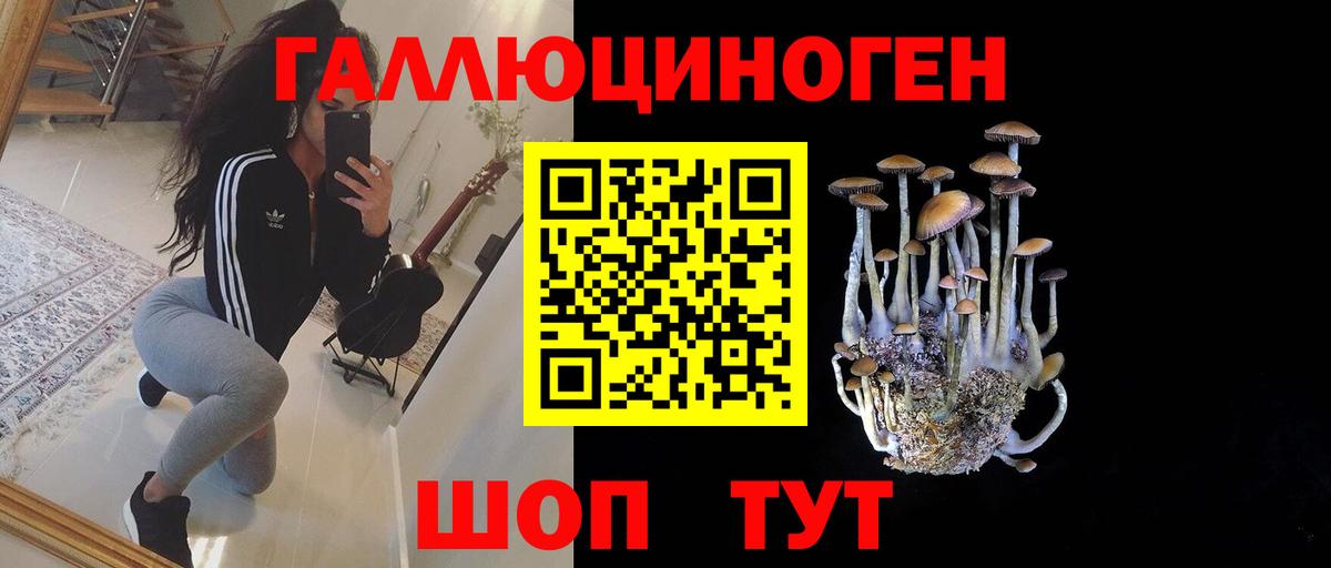 Нарткала  купить закладку  Вход с VPN  Псилоцибиновые грибы ЛСД  Псилоцибиновые грибы Psilocybine cubensis 